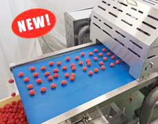 多連定量分割機＋ボール用カット装置